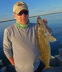 image of walleye caught on Cass Lake