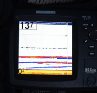 imaage of Sunfish on Humminbird screen