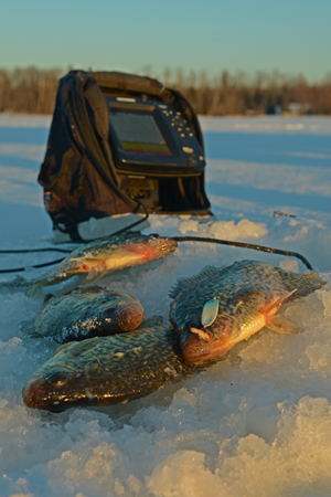 image of Lindy Quiver Spoon and crappies