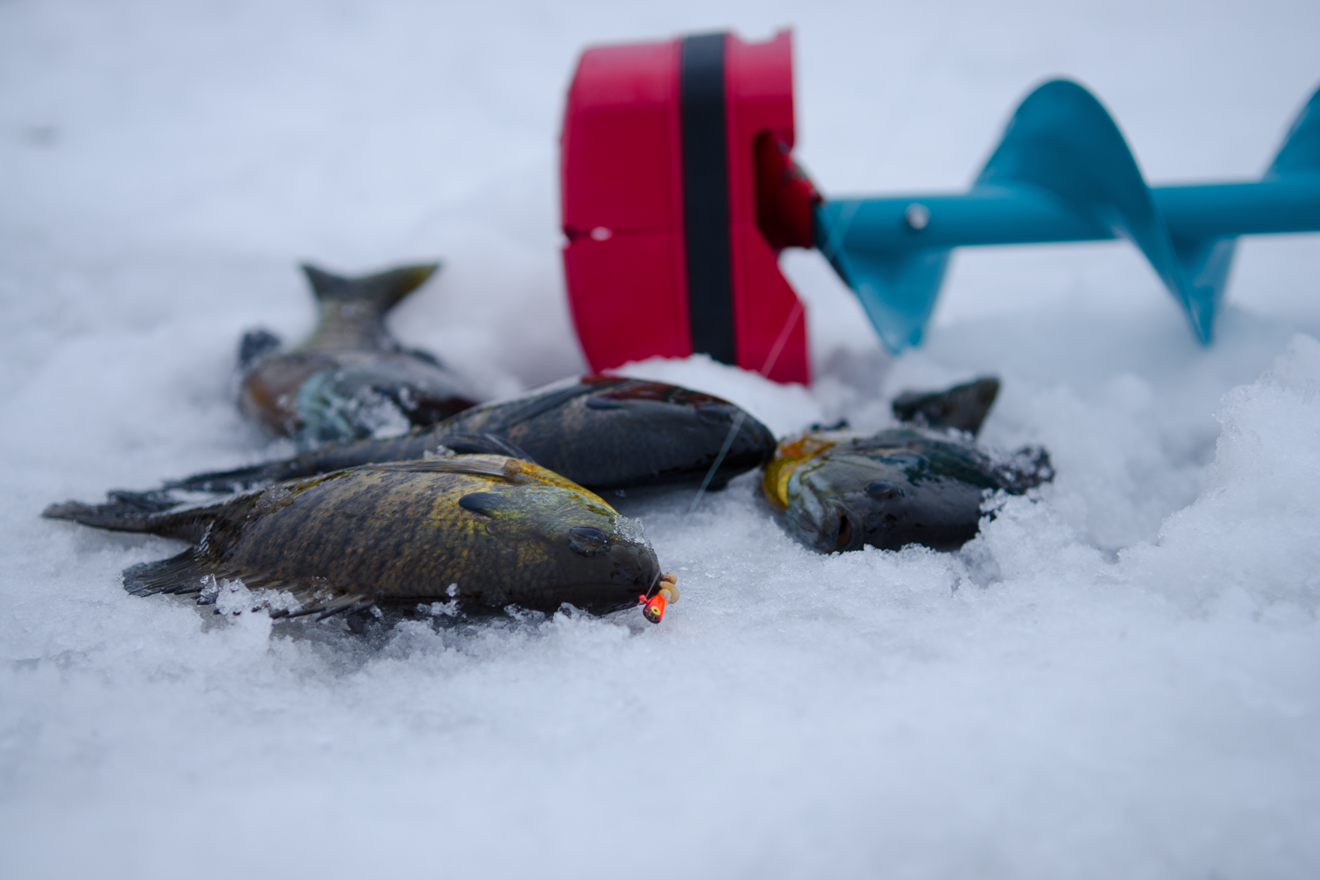 Minnesota Ice Fishing Reports Archive January 2018