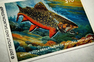 image of minnesota trout stamp