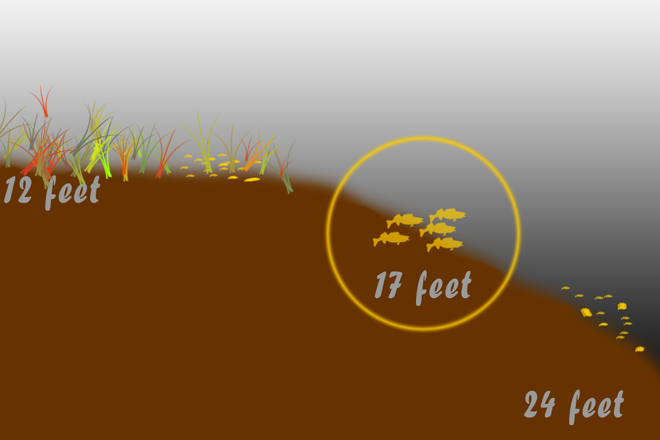 image shows location of walleyes on outer edges of structure during mid-summer  