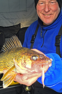 image of walleye caught on Lindy Quiver Spoon