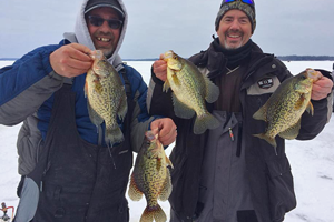image of nice crappies