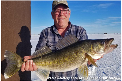 image of big walleye on lake of the woods