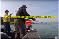 image links to crappie fishing video