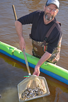 image of chad benson with shiner minnows