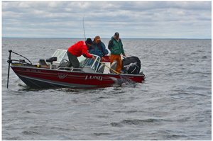 image of fishermen catching walleye