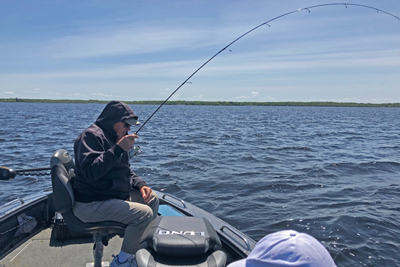 image of dick williams reeling in walleye