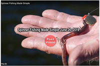 image links to crappie fishing video