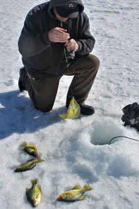image of ice fisherman catching crappie