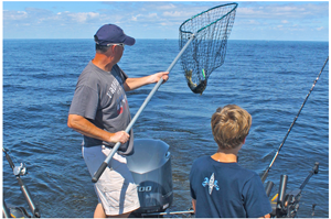 image of anglers netting a walleye