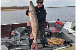 image of angler holding monster pike