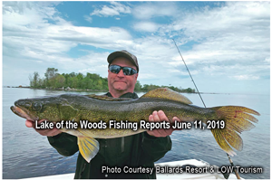 image of huge lake of the woods walleye