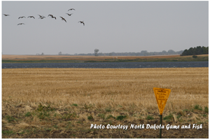 image of plots land in north dakota