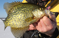 image links to ice fishing article