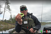 image links to bass fishing video