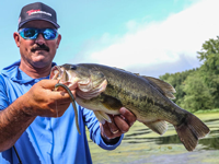 image links to bass fishing article