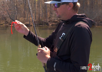 image links to video about Floating Worm Bass Fishing Basics and Wacky Rig Alternative