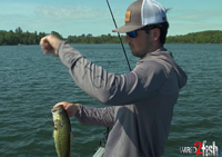 image links to video about locating bass on new lakes