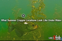 image links to video about crappie fishing