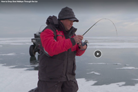 image links to walleye video