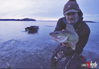 image links to video about ice fishing for walleyes 