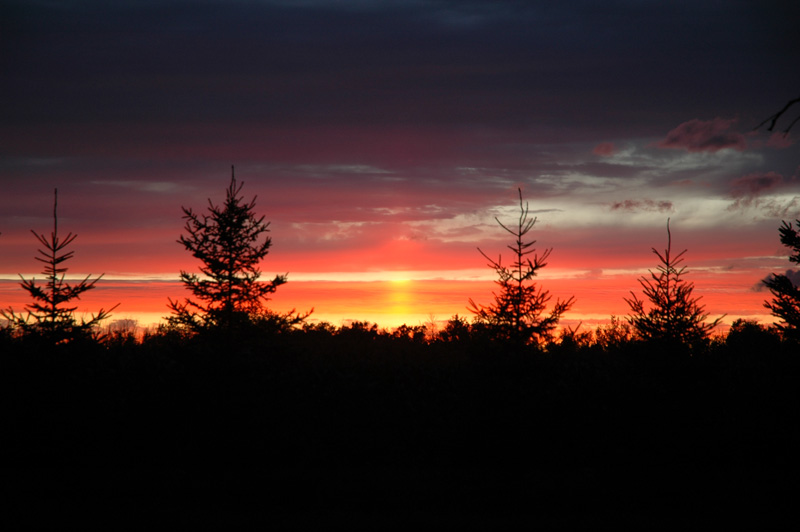Sunset Deer River