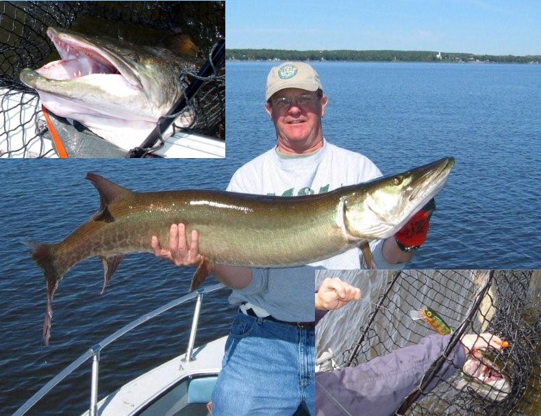 Musky Mystery Article Part two
