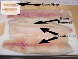 Northern Pike Y Bones Removed click to enlarge