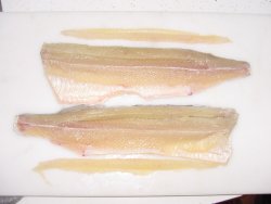 Northern Pike Fillet with Y Bone Removed