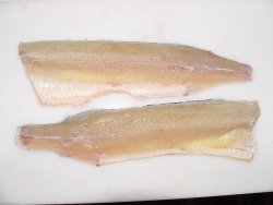 Northern Pike Fillet