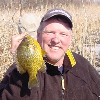 Bluegill fishing
    from shore in spring pays off for Jeff Sundin
