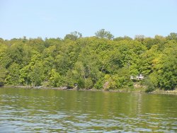 trees show signs of fall color