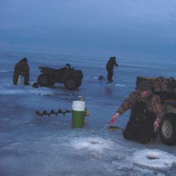 Walleye, Ice Fishing Winnibigosh