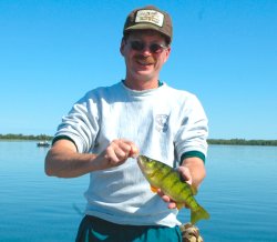 Perch Kevin September 2008