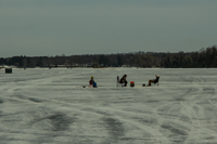 image of anglers ice fishing