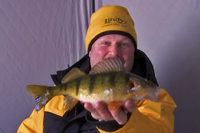 image links to video about perch fishing