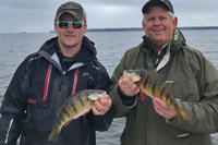 image jumbo perch