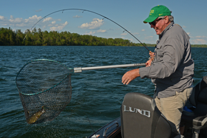 image of Dick Williams landing walleye