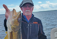 image of walleye caught on winnibigoshish