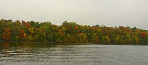 image of fall colors