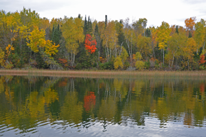 image of fall colors