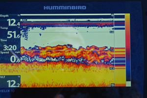 image of fish on screen of humminbird graph
