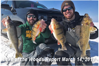 image of ice fishermen with walleyes and perch