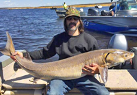 image of big sturgeon