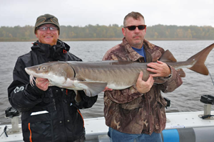 image of rainy river sturgeon