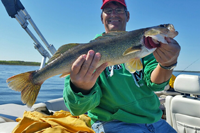 image of Lake Winnie Walleye