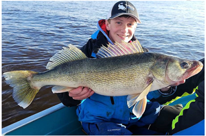 image of giant rainy river walleye