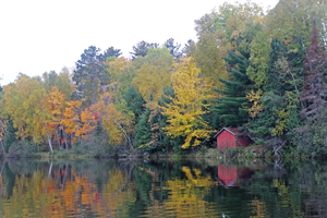 image of fall colors